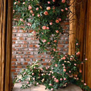 Роза пъпка на Цвете Лоза Сватбен Декор на Стените направи си САМ Украса на Дома Градина Изкуствени Цветя за Декорация 1